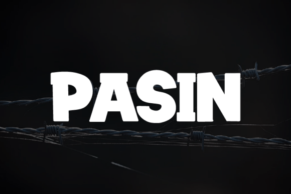 Pasin: A Modern Display Font for Handmade Brands