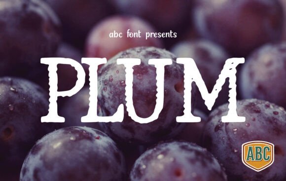 Plum: A Display Font That Builds Brand Trust